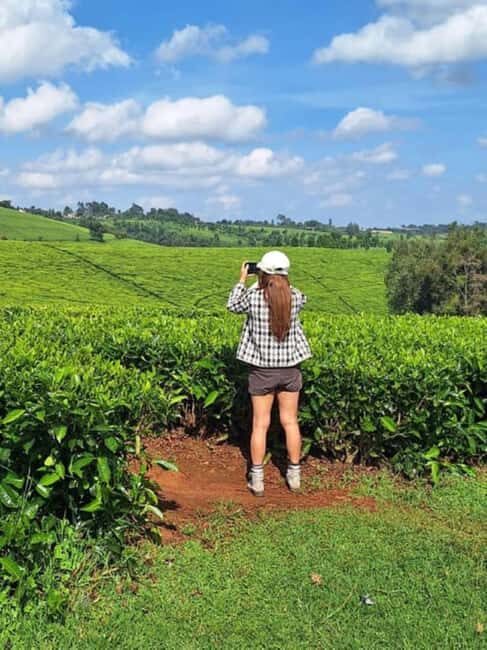 Tea Farm From Nairobi (Kiambethu) - FAQ