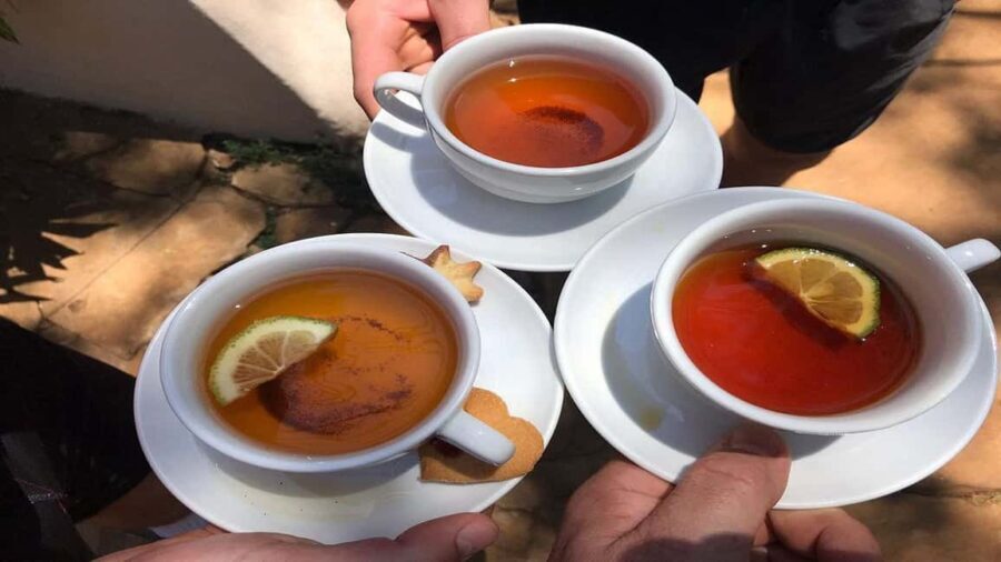 Tea Farm Tour From Nairobi (Kiambethu). - Transport and Logistics