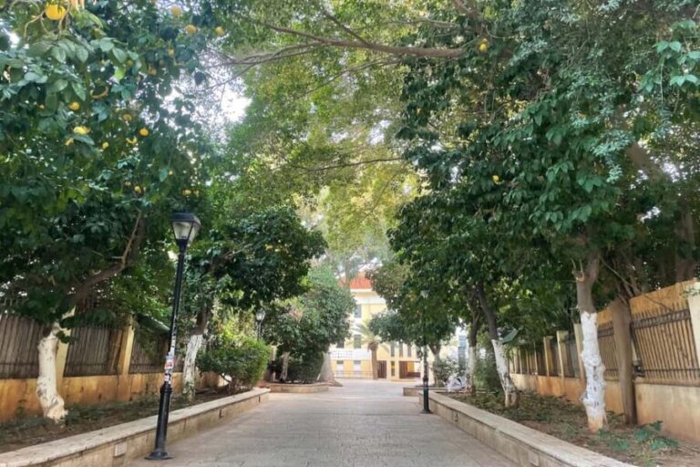 Tel Aviv: Neve Tzedek Cultural Walking Tour - Practical Details and Value
