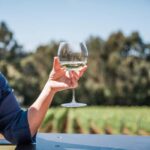 Ten Minutes by Tractor: Fine Wine & Gastronomy Experience - Unpacking the Value