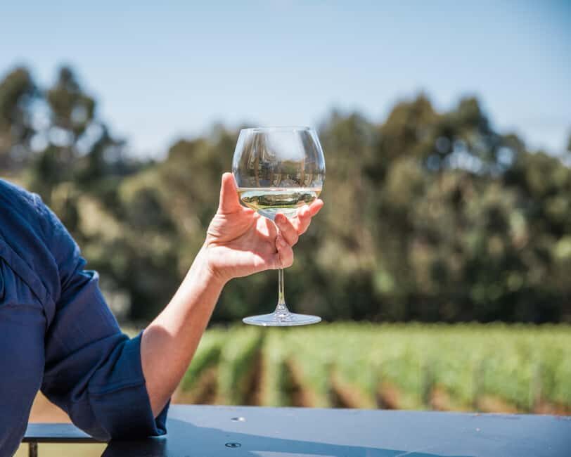 Ten Minutes by Tractor: Fine Wine & Gastronomy Experience - Unpacking the Value