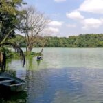 The Best 10 Days Private & Luxury Tanzania Safari - Tours - Day-by-Day Breakdown of the Safari Experience