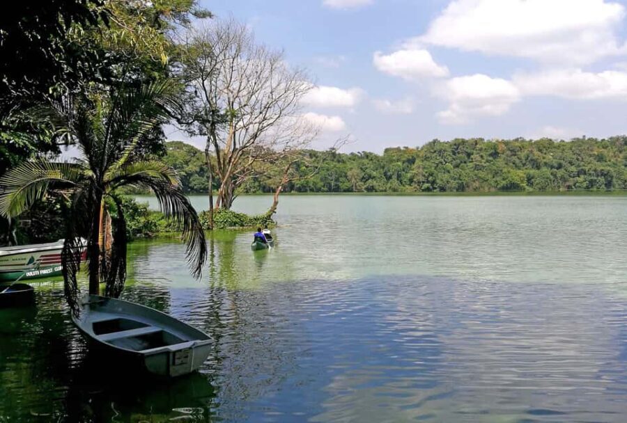 The Best 10 Days Private & Luxury Tanzania Safari - Tours - Day-by-Day Breakdown of the Safari Experience