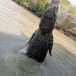 The best Litchfield Tour and the best Crocodile Cruise VIP - Final Thoughts