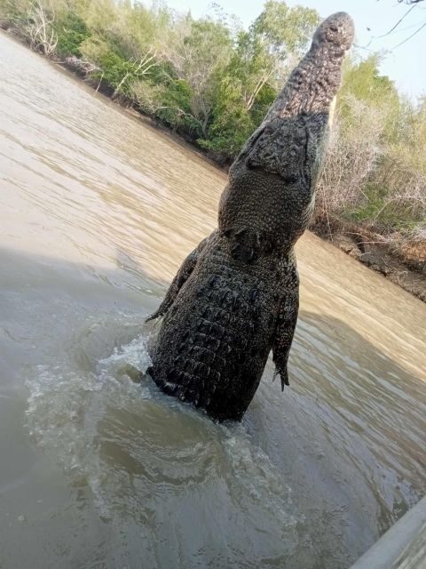 The best Litchfield Tour and the best Crocodile Cruise VIP - Final Thoughts