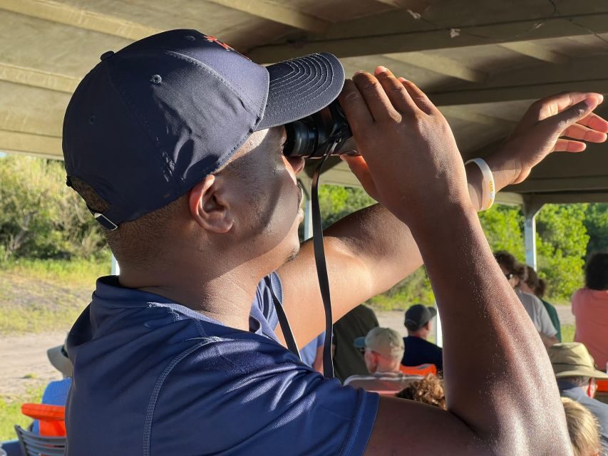 The Best Private Cape Town Safari Day Trip - Aquila Big 5 - The Pros and Cons Based on Real Experiences