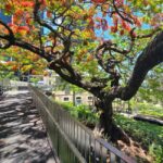 The Brisbane Experience: City Walking Tour - The Itinerary in Detail