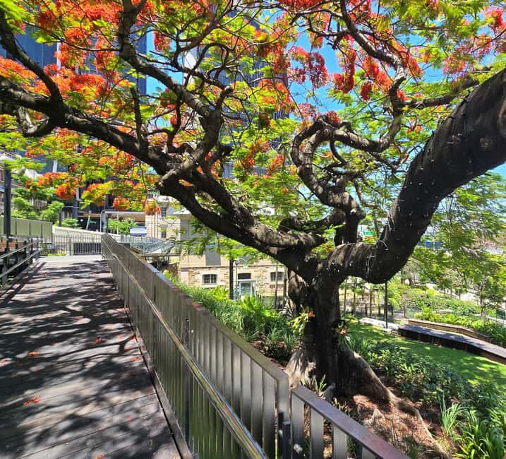 The Brisbane Experience: City Walking Tour - The Itinerary in Detail