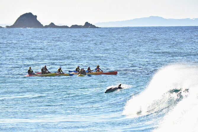 The Byron Bay Sea Kayak Tour - The Value of the Byron Bay Sea Kayak Tour