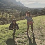 The Constantia Classic  Half Day Tour - The Practical Details