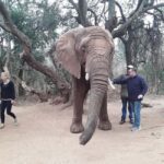 The Elephant and Monkey Sanctuary. - Authentic Insights from Past Visitors