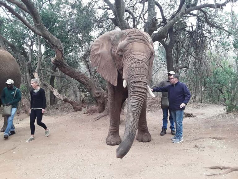 The Elephant and Monkey Sanctuary. - Authentic Insights from Past Visitors