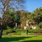 The Explorer - Melbourne Gardens - Final Thoughts: Is the Explorer Tour Worth It?