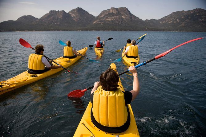 The Freycinet Paddle - What Makes This Tour Stand Out?