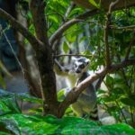 The Green Planet - Dubai's Unique Indoor Rainforest - Authentic Insights From Visitors