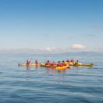 The Maori Carvings Half Day Kayak - The Experience: What to Expect from Start to Finish