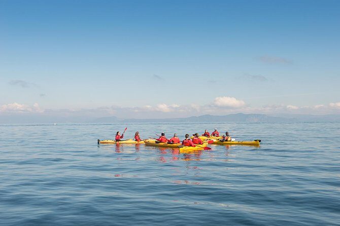 The Maori Carvings Half Day Kayak - The Experience: What to Expect from Start to Finish