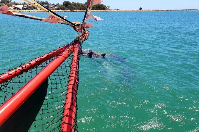 The Pirate Cruise in Mandurah on Viator - Why This Tour Works Well