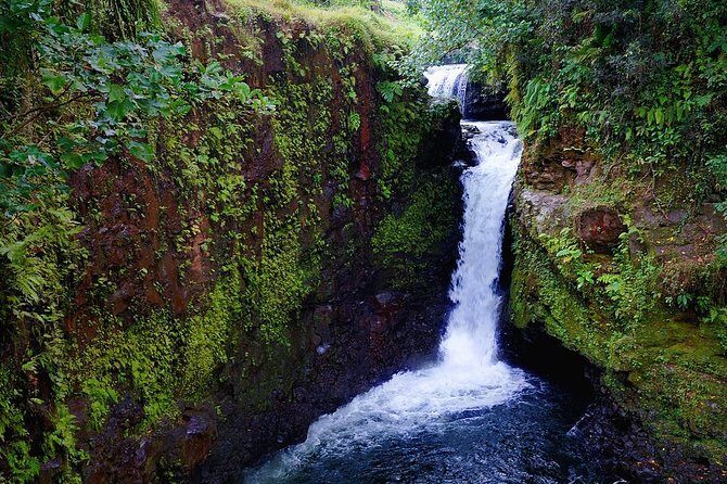 The Pristine Waters of Upolu - Waterfalls and the Tallest in Samoa