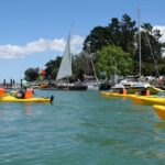 The Riverhead Tavern Kayak Tour - Why This Tour Offers Good Value