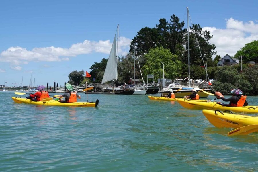 The Riverhead Tavern Kayak Tour - Why This Tour Offers Good Value