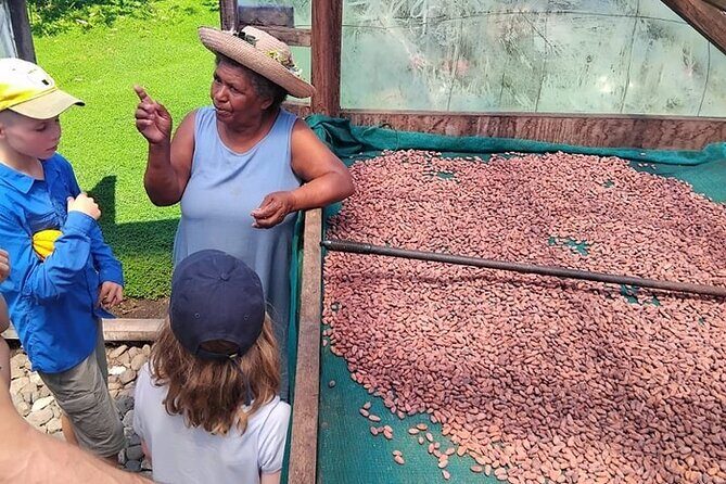 The Solomon Chocolate trail - Practical Tips for Making the Most of the Tour