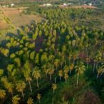 The spice farm and The city tour stone town - Practical Details and What to Expect