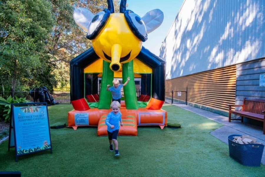 The Sunshine Coast: The Ginger Factory Play All Day - The Verdict: Who Is This Experience Best For?