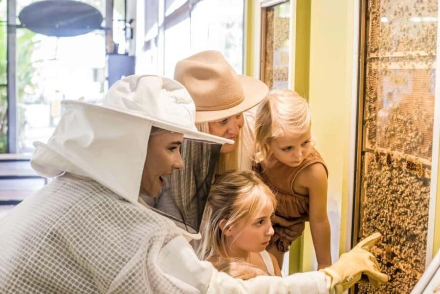 The Sunshine Coast: The Ginger Factory Play Taste & Discover - FAQ