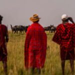 The Ultimate 7 Days : Discover Tsavo, Amboseli & Masai Mara - What Makes This Tour Stand Out?
