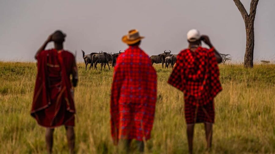 The Ultimate 7 Days : Discover Tsavo, Amboseli & Masai Mara - What Makes This Tour Stand Out?