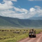 Thrilling three days combo safari, crater and migrations - Practical Details and Tips