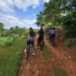 Tigoni: E-bike Tour - Value and Pricing: Is It Worth It?