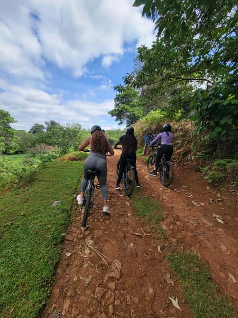 Tigoni: E-bike Tour - Value and Pricing: Is It Worth It?