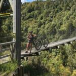 Timber Trail One Day Mountain Bike Ride - Shuttle Service - Who Should Consider This Tour?