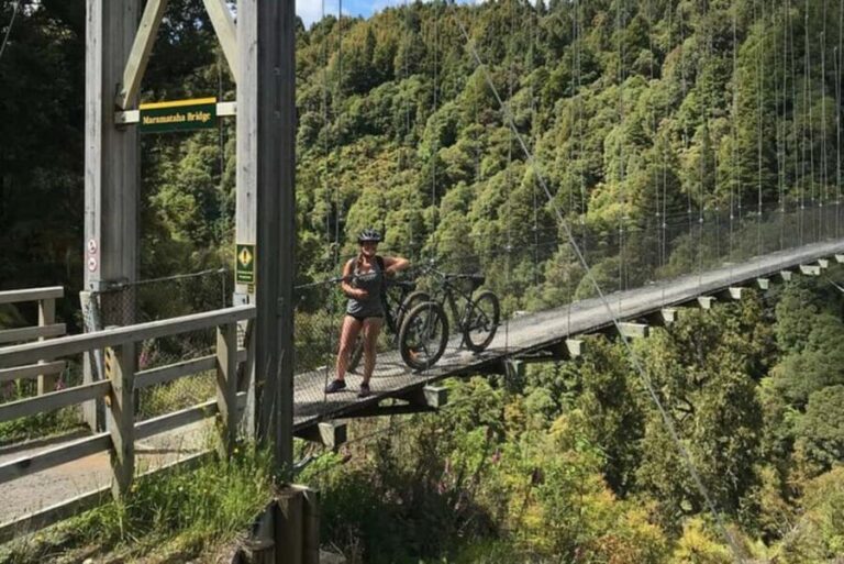 Timber Trail One Day Mountain Bike Ride - Shuttle Service - Who Should Consider This Tour?