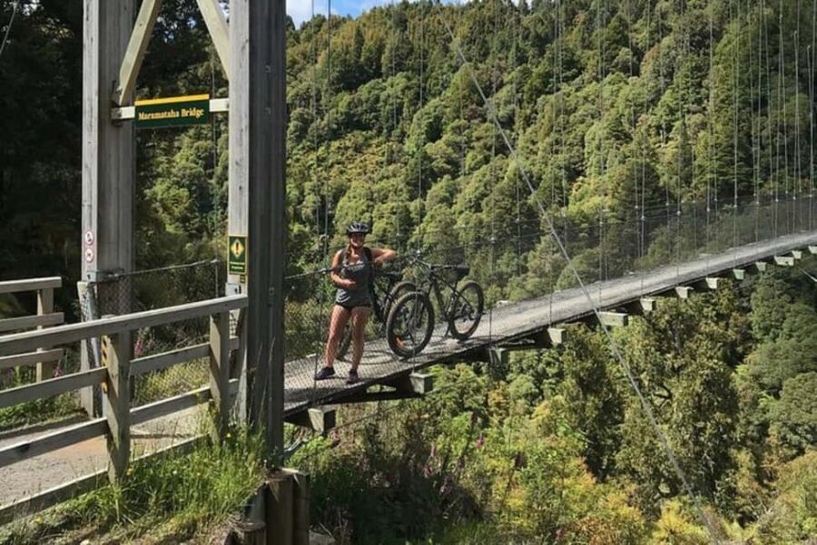 Timber Trail One Day Mountain Bike Ride - Shuttle Service - Who Should Consider This Tour?