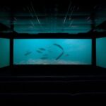 Time Tripper Queenstown - Why This Experience Matters