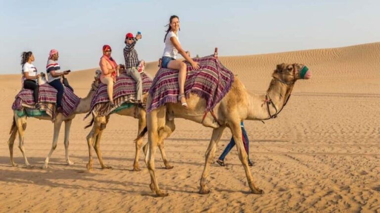 Timimoun: Sahara Camel Ride with Dinner and Music Show - Desert Camp and Traditional Dinner