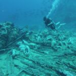 Tiran Island: Full-day Snorkeling, Diving Boat Trip - Analyzing the Cost and Value