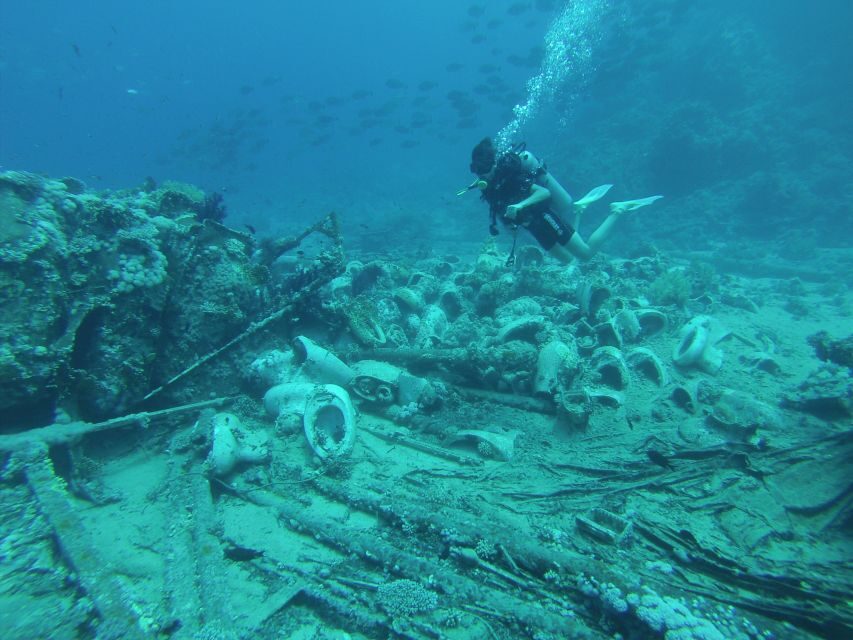 Tiran Island: Full-day Snorkeling, Diving Boat Trip - Analyzing the Cost and Value