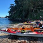 Tiritiri Matangi Sea Kayak Tour - What’s Included and What You’ll Need to Bring