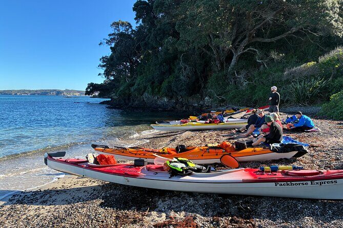 Tiritiri Matangi Sea Kayak Tour - What’s Included and What You’ll Need to Bring