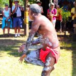 Tiwi By Design Day Tour - What To Expect: Practical Details and Tips
