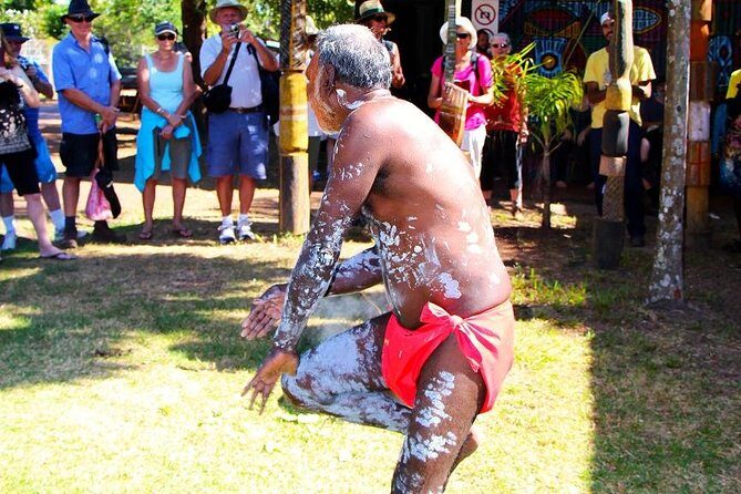 Tiwi By Design Day Tour - What To Expect: Practical Details and Tips