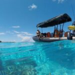 Tohora Bora Bora Snorkeling Lagoon Tours - Analyzing the Value & Practicalities