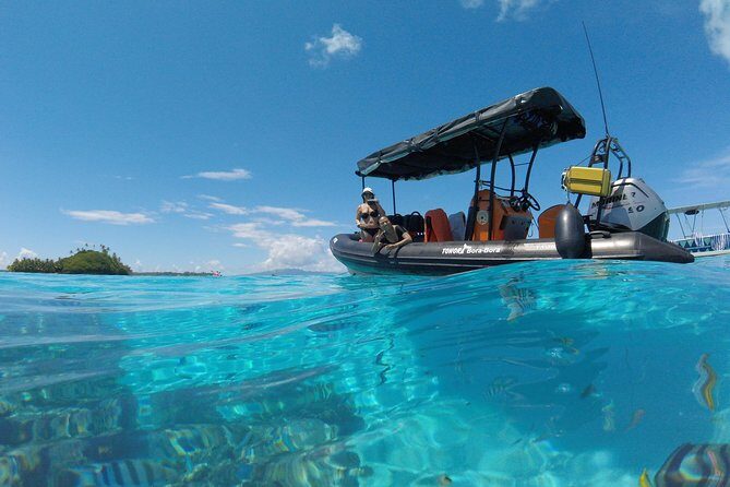 Tohora Bora Bora Snorkeling Lagoon Tours - Analyzing the Value & Practicalities