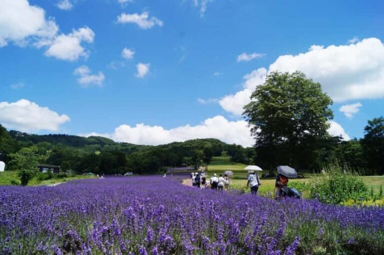Tokyo: Gunma Scenic Day Trip with Fruit Picking, Crab Lunch - Why This Tour Offers Great Value