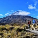 Tongariro Alpine Half Day Guided Group Walk - An In-Depth Look at the Tour