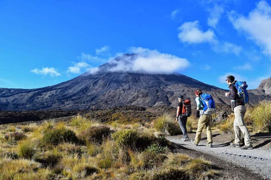 Tongariro Alpine Half Day Guided Group Walk - An In-Depth Look at the Tour